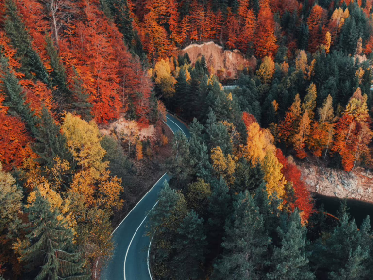 Example of image with Autumn Forest Lightroom Preset applied.