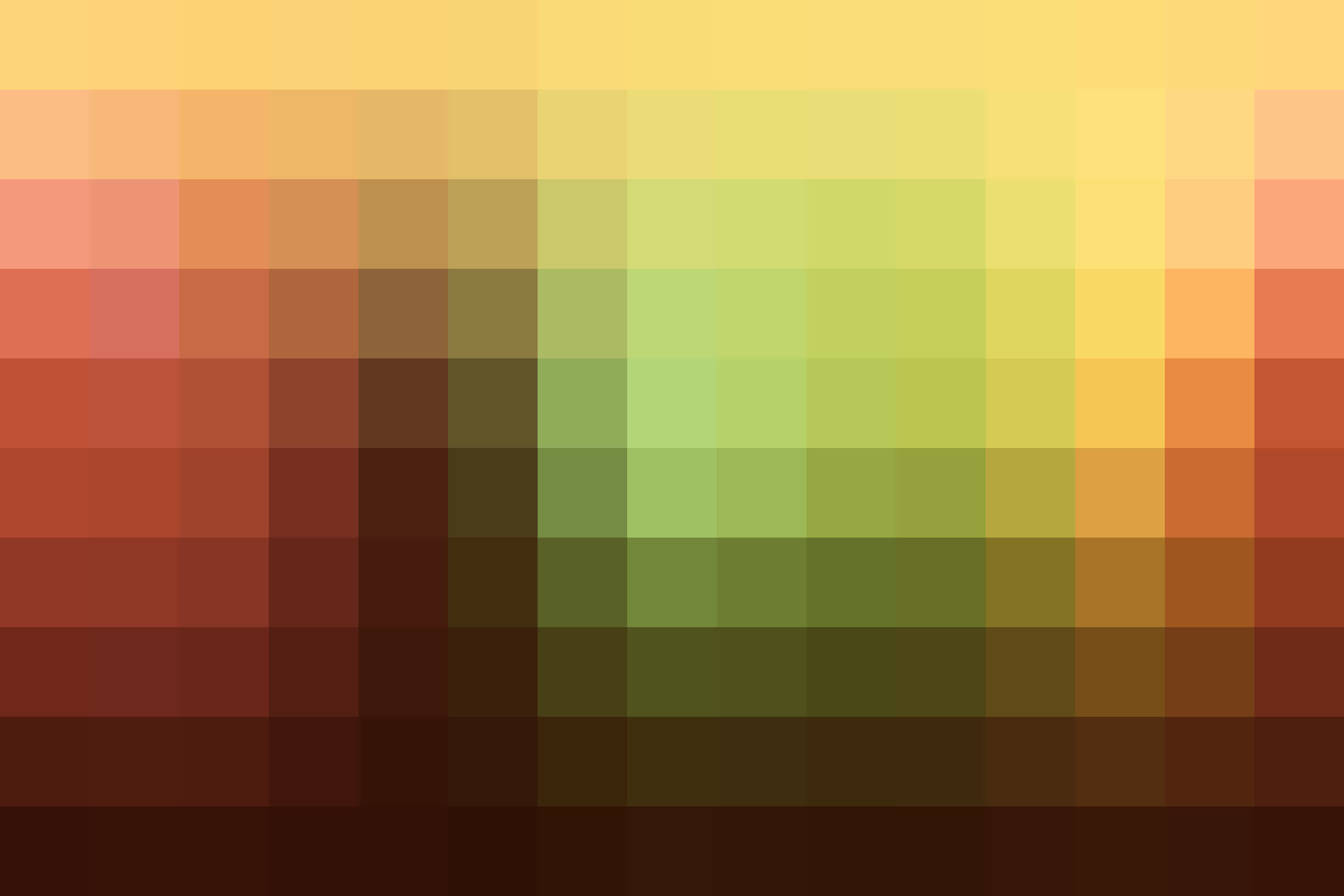 Color palette showing the adjusted hues from this Mexican Filter LUT.