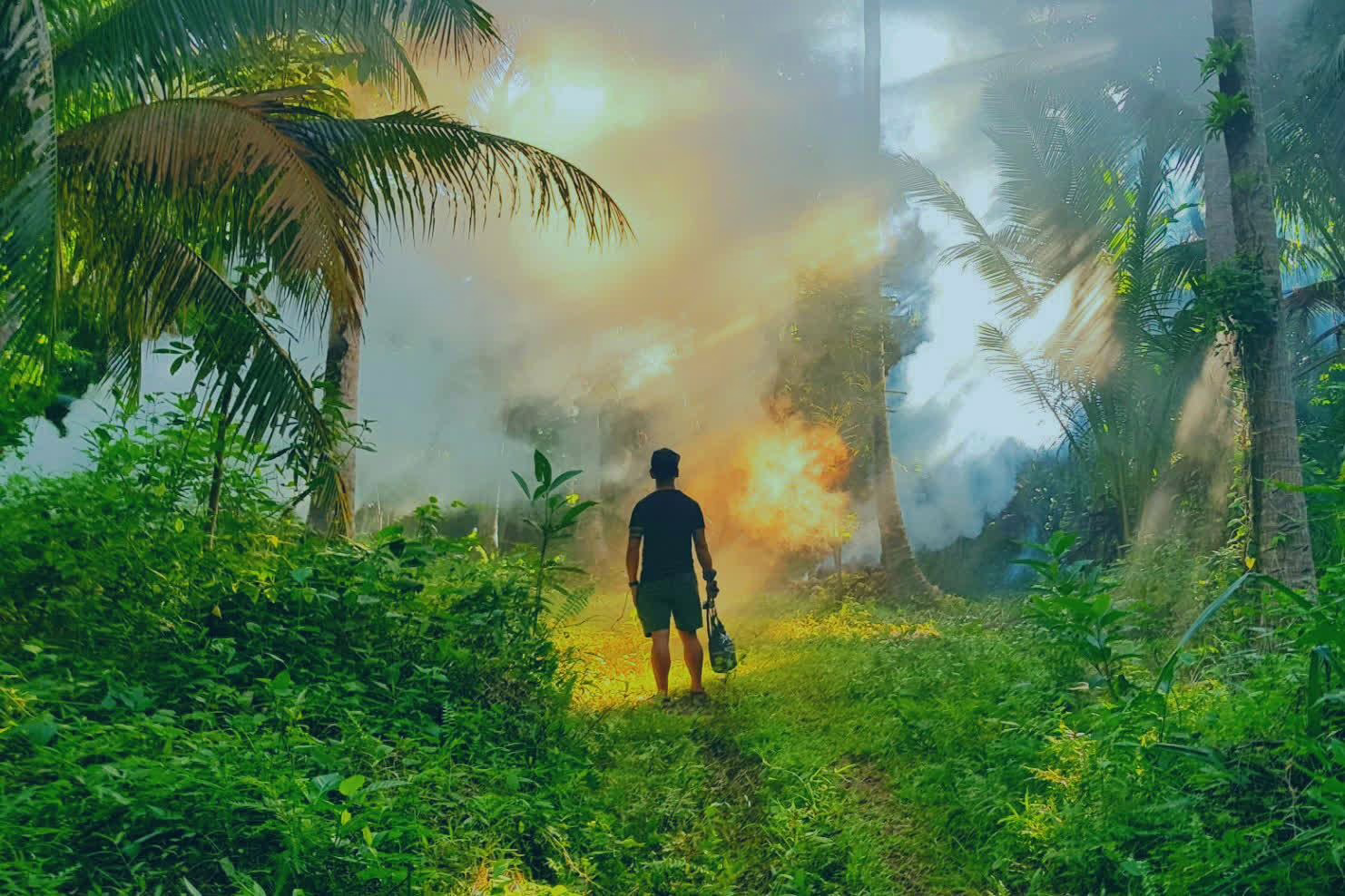 Example of image with The Phoenician Scheme Jungle LUT applied.